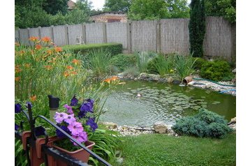 Сімейний пансіонат Sárvár 18